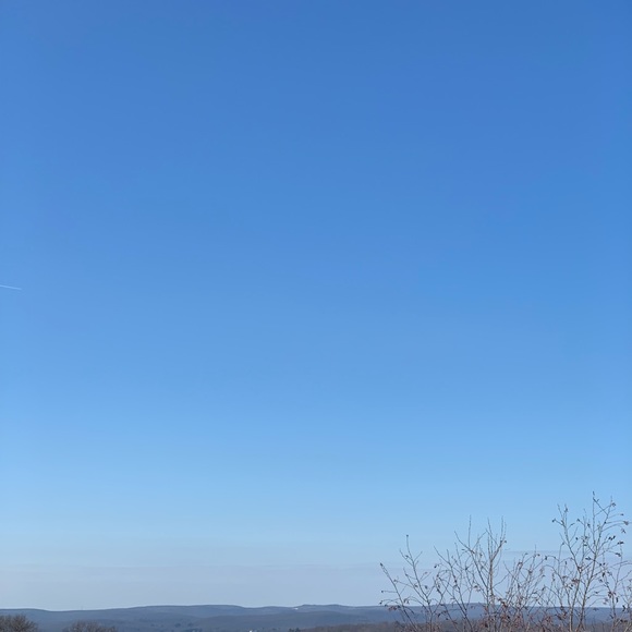 koitlai